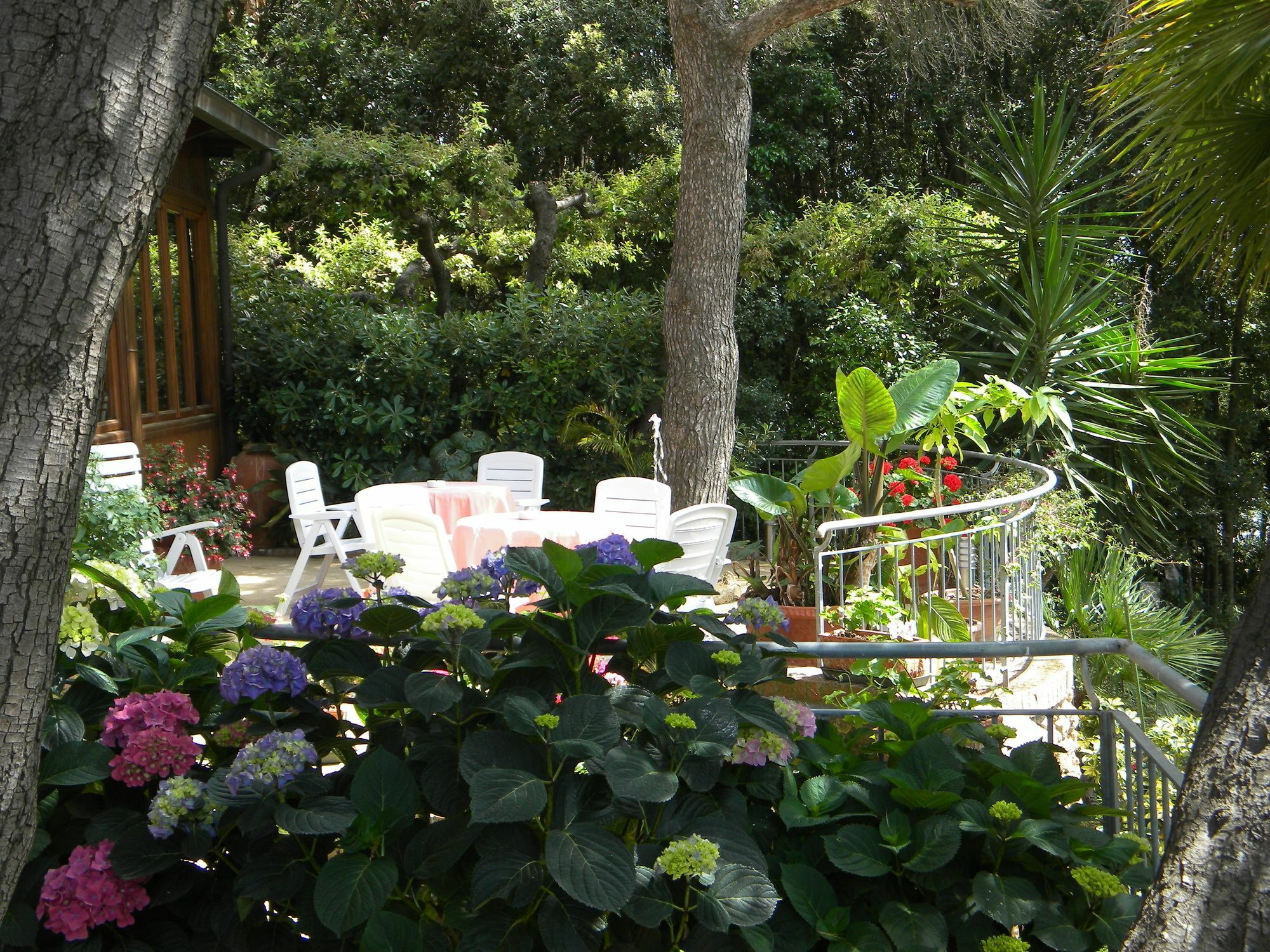 Hotel La Rosa Del Tirreno Livorno Buitenkant foto