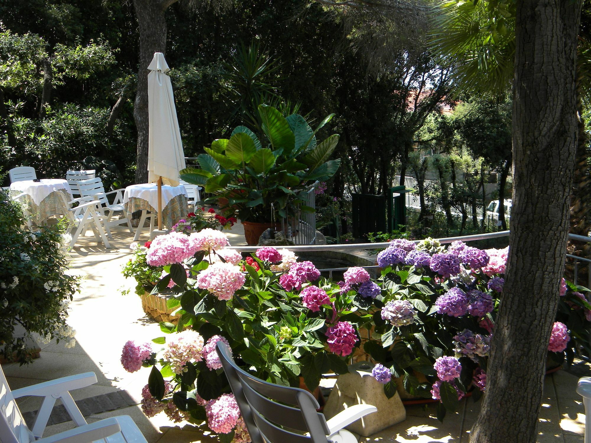 Hotel La Rosa Del Tirreno Livorno Buitenkant foto
